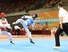 包含跆拳道友谊赛上演强强对话，漓江貔貅队逆转洞庭灰熊队，团队配合流畅；快速转换撕裂防线的词条-KAIYUN SPORTS官网